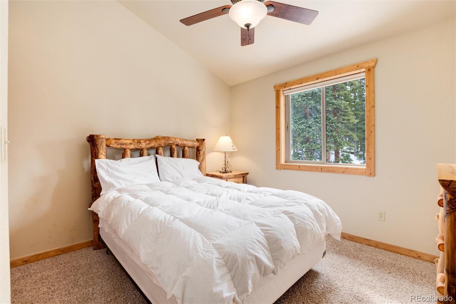 MLS Image #26 for 750  miners way,fairplay, Colorado