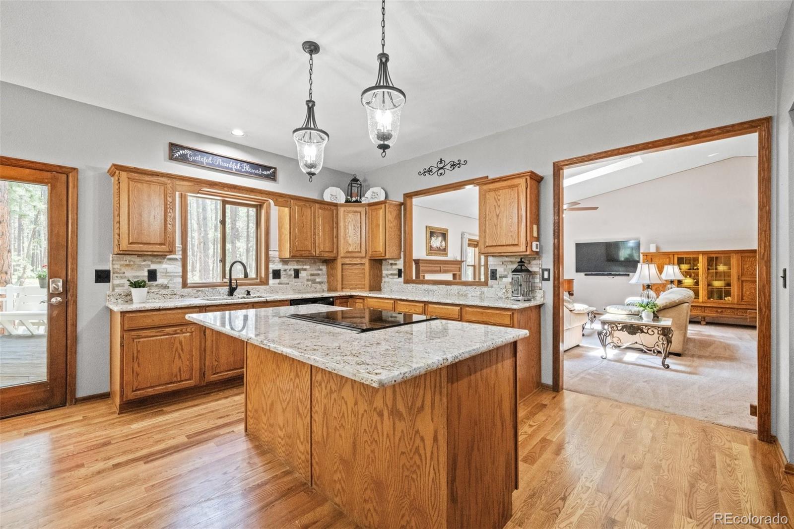 MLS Image #17 for 855  pebble creek court,monument, Colorado