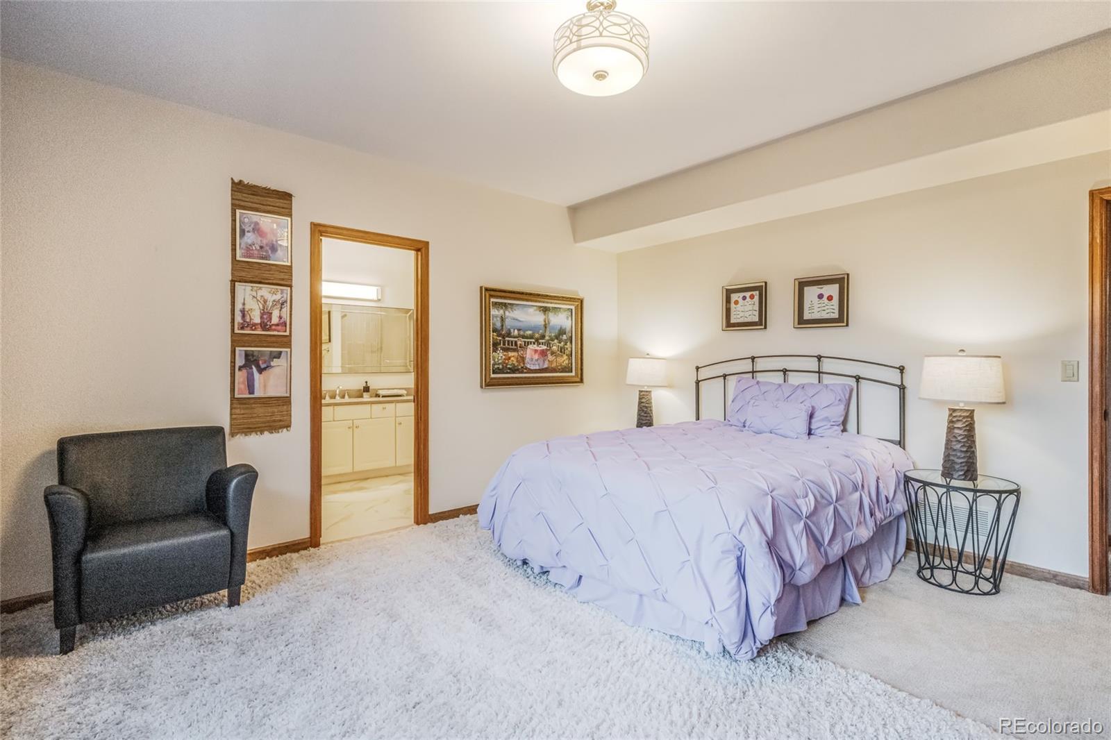 MLS Image #42 for 1605  allegheny drive,colorado springs, Colorado