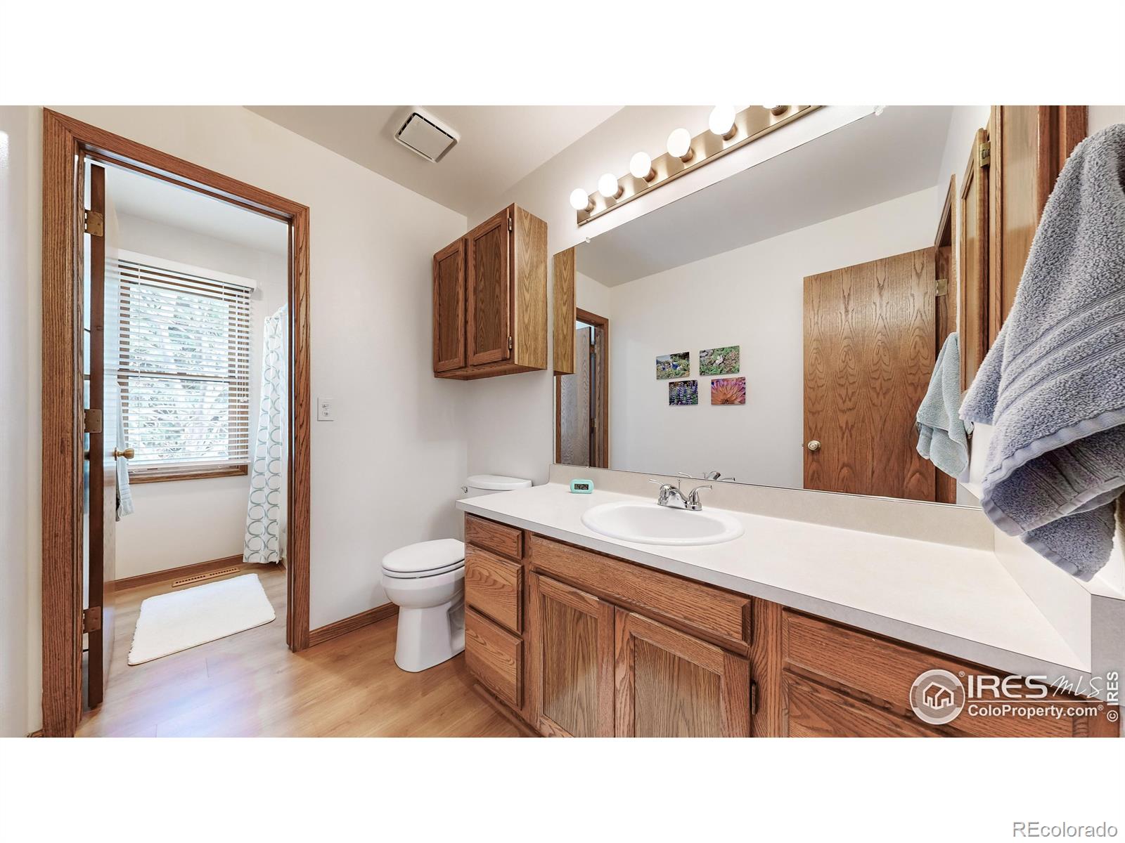 MLS Image #19 for 1524  quail hollow drive,fort collins, Colorado