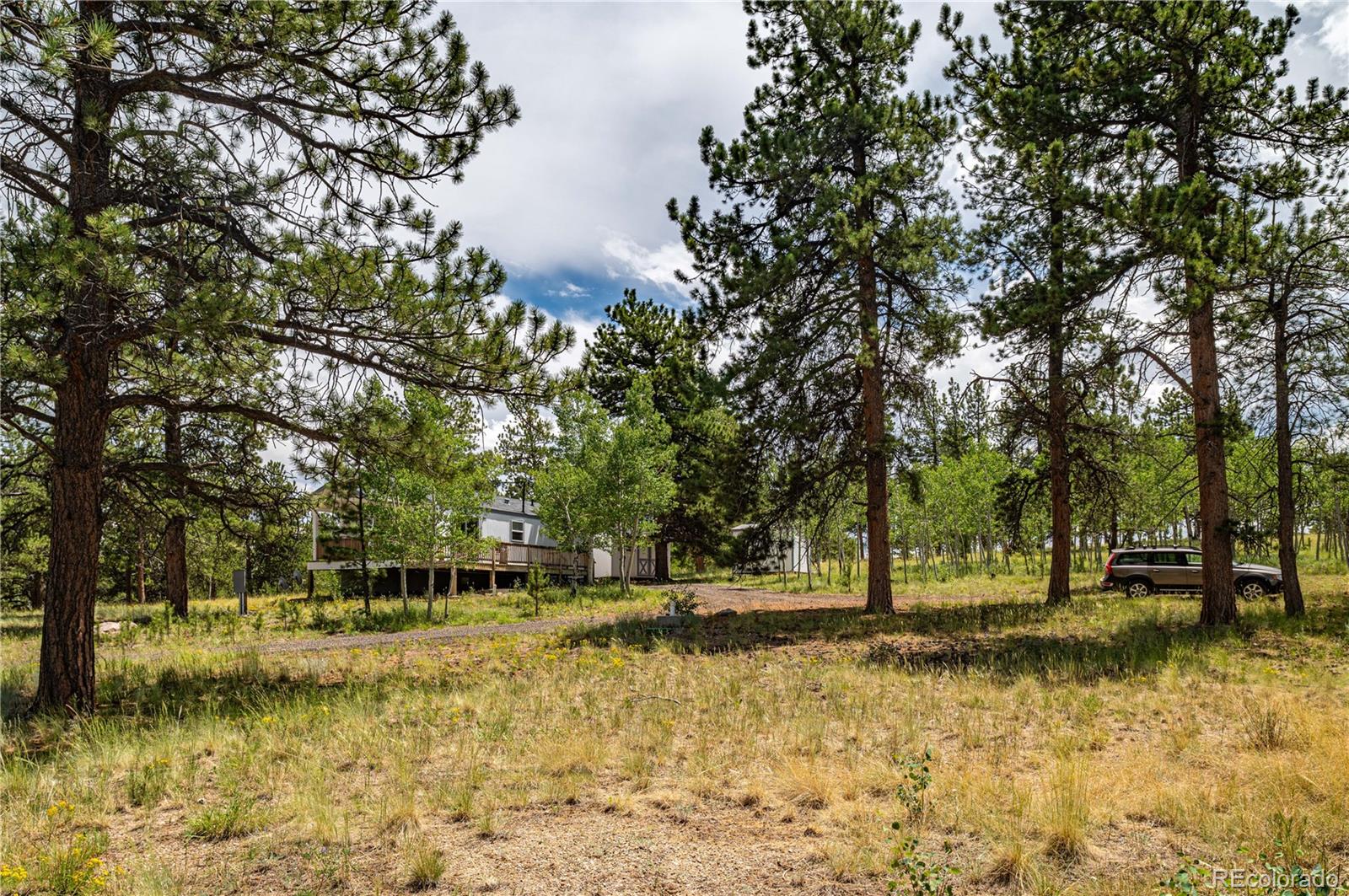 MLS Image #21 for 9674  ranch road,hartsel, Colorado