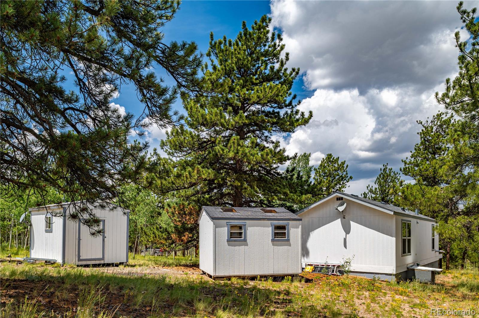 MLS Image #22 for 9674  ranch road,hartsel, Colorado