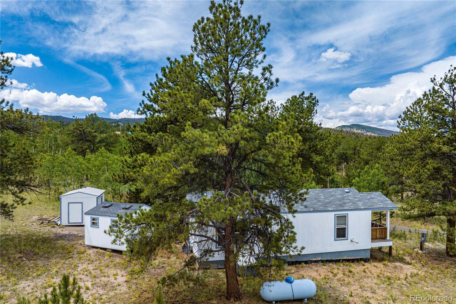 MLS Image #23 for 9674  ranch road,hartsel, Colorado