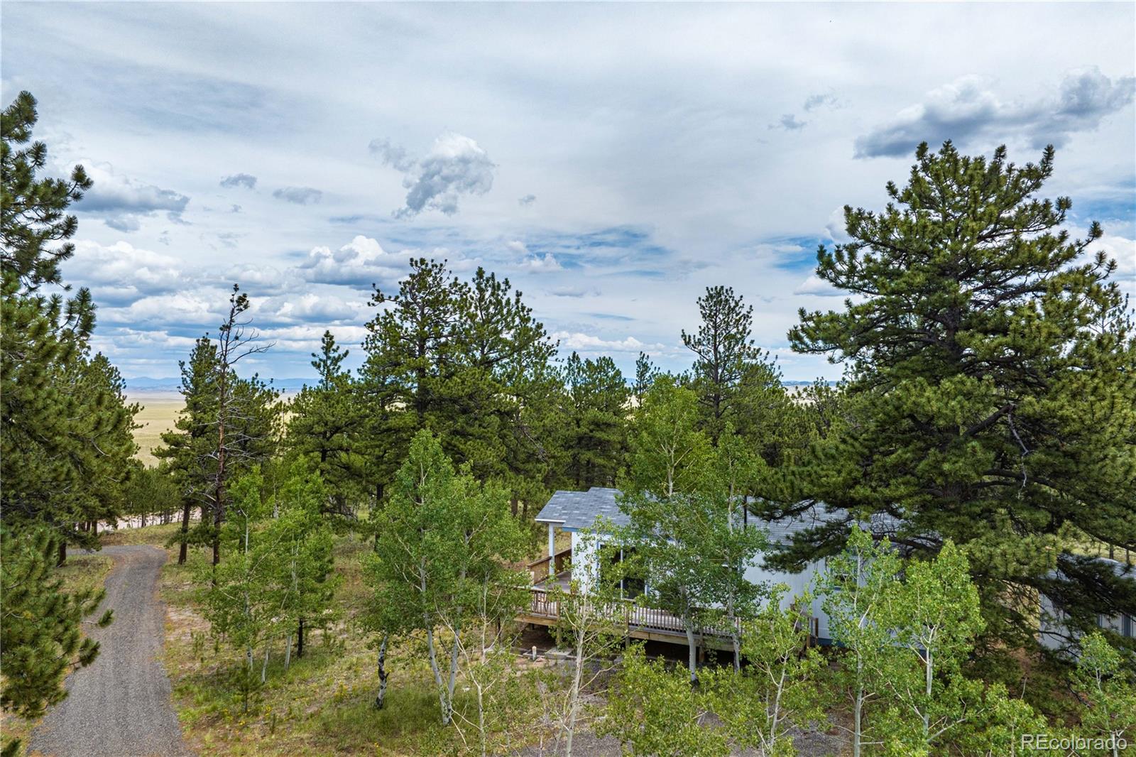 MLS Image #4 for 9674  ranch road,hartsel, Colorado