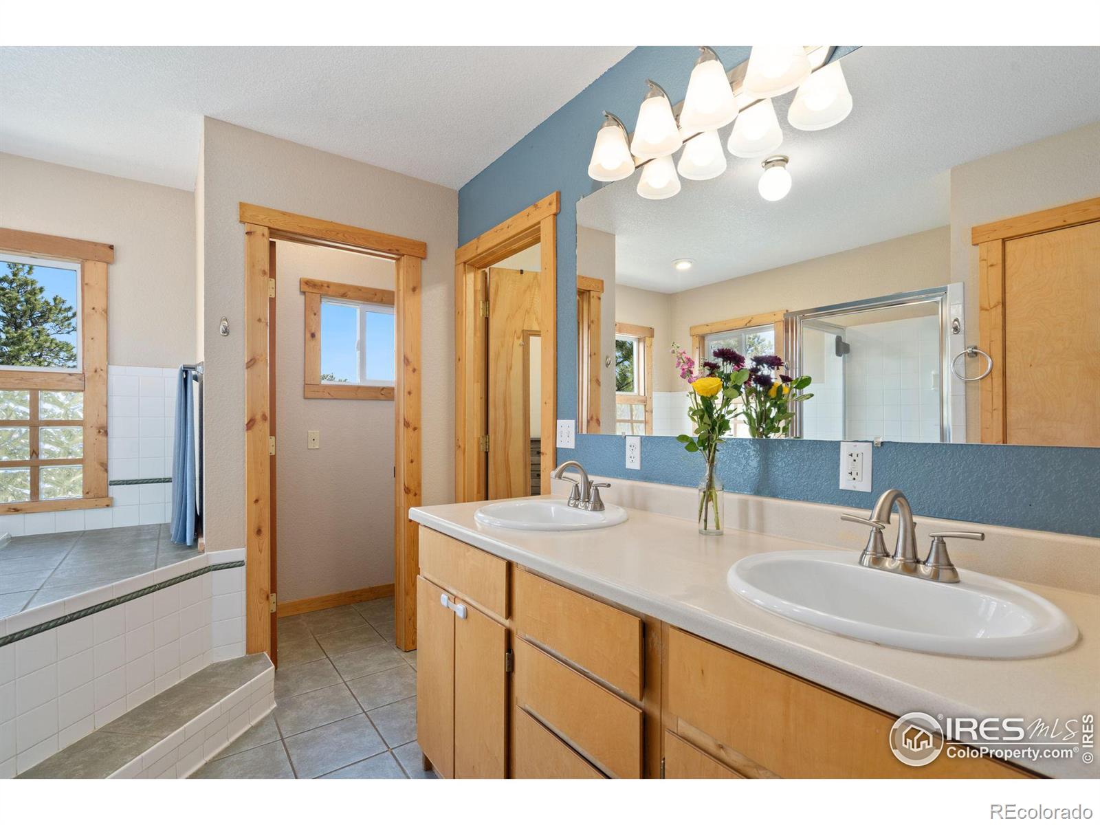 MLS Image #11 for 1523  green mountain drive,livermore, Colorado