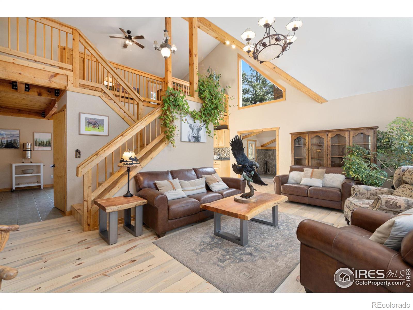 MLS Image #4 for 1523  green mountain drive,livermore, Colorado