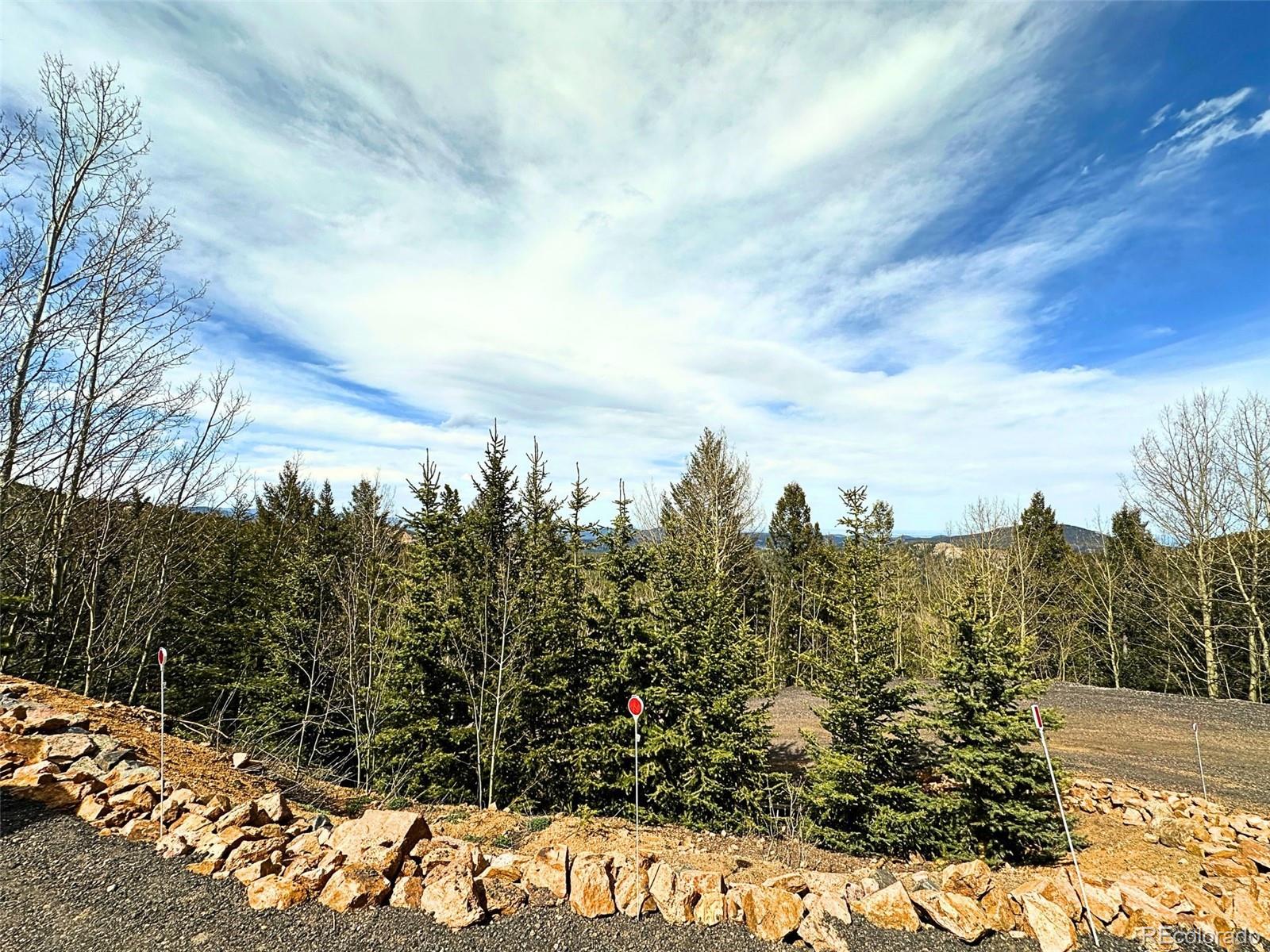 MLS Image #48 for 10518  christopher drive,conifer, Colorado