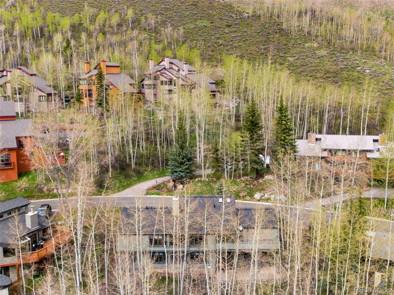 MLS Image #21 for 3100  booth falls court,vail, Colorado