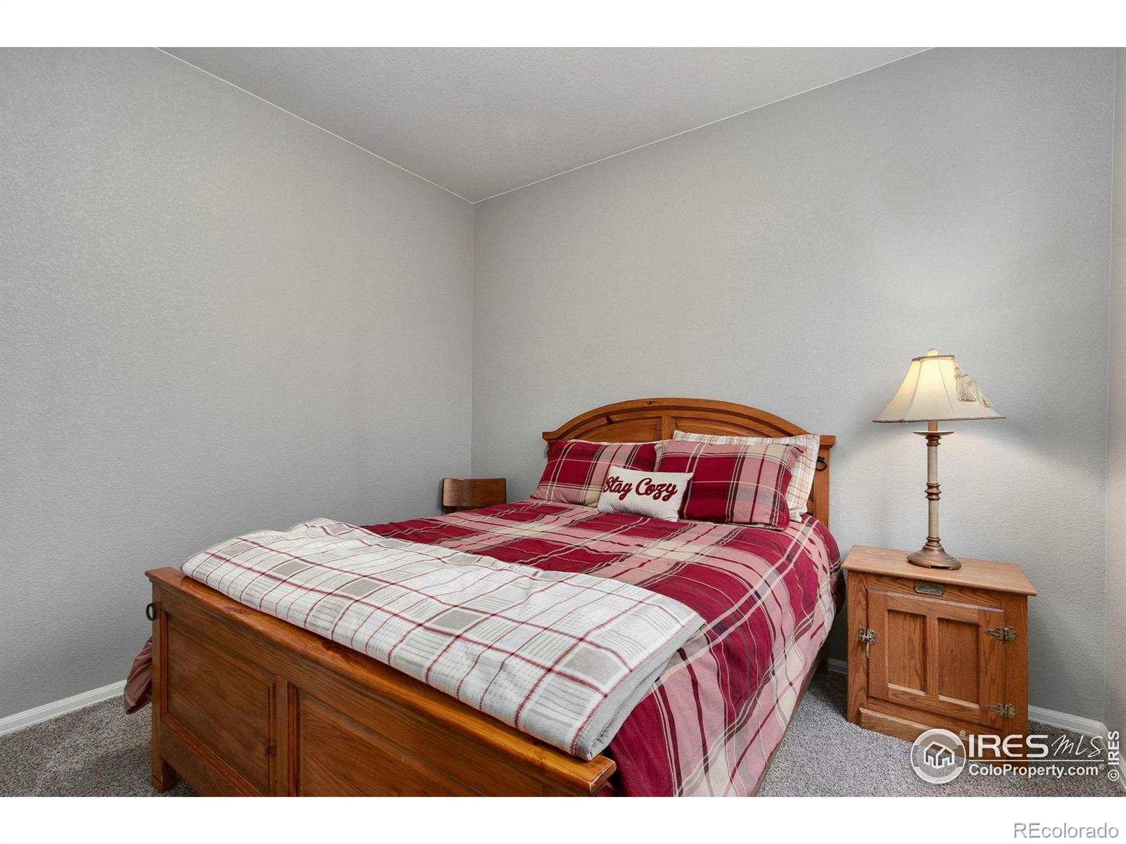 MLS Image #30 for 2242  stonefish drive,windsor, Colorado