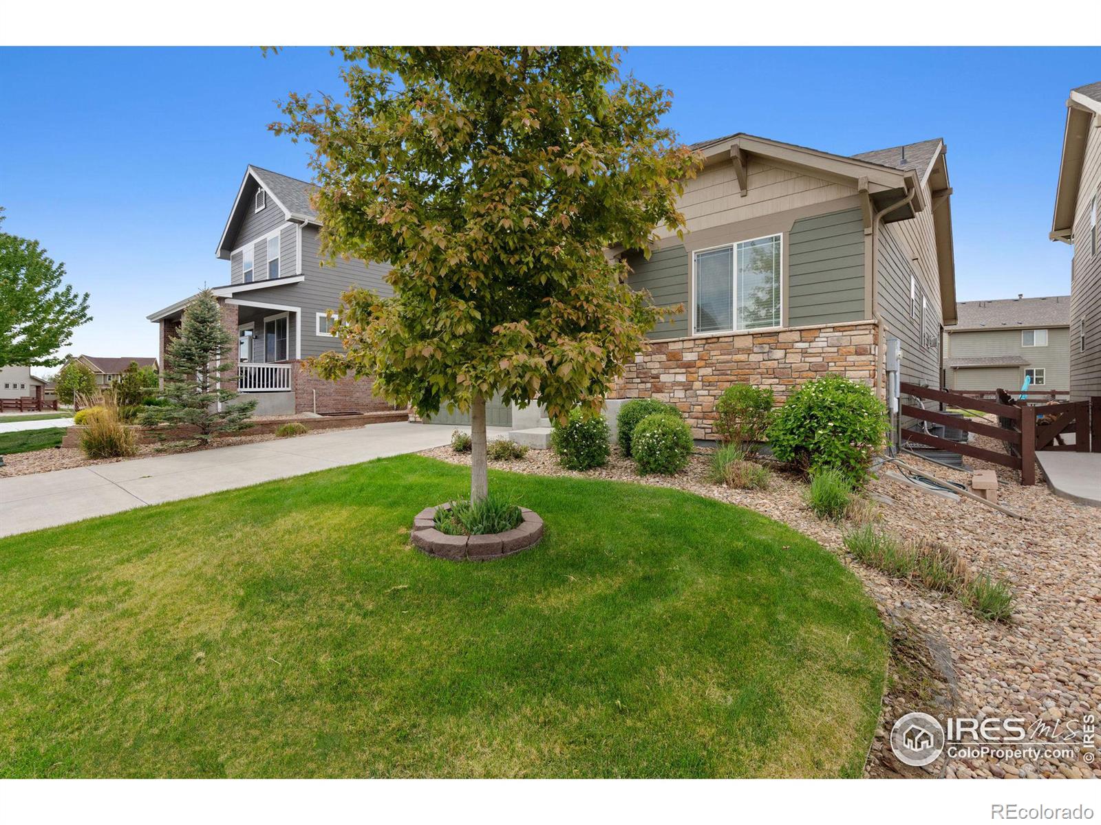 MLS Image #5 for 2242  stonefish drive,windsor, Colorado