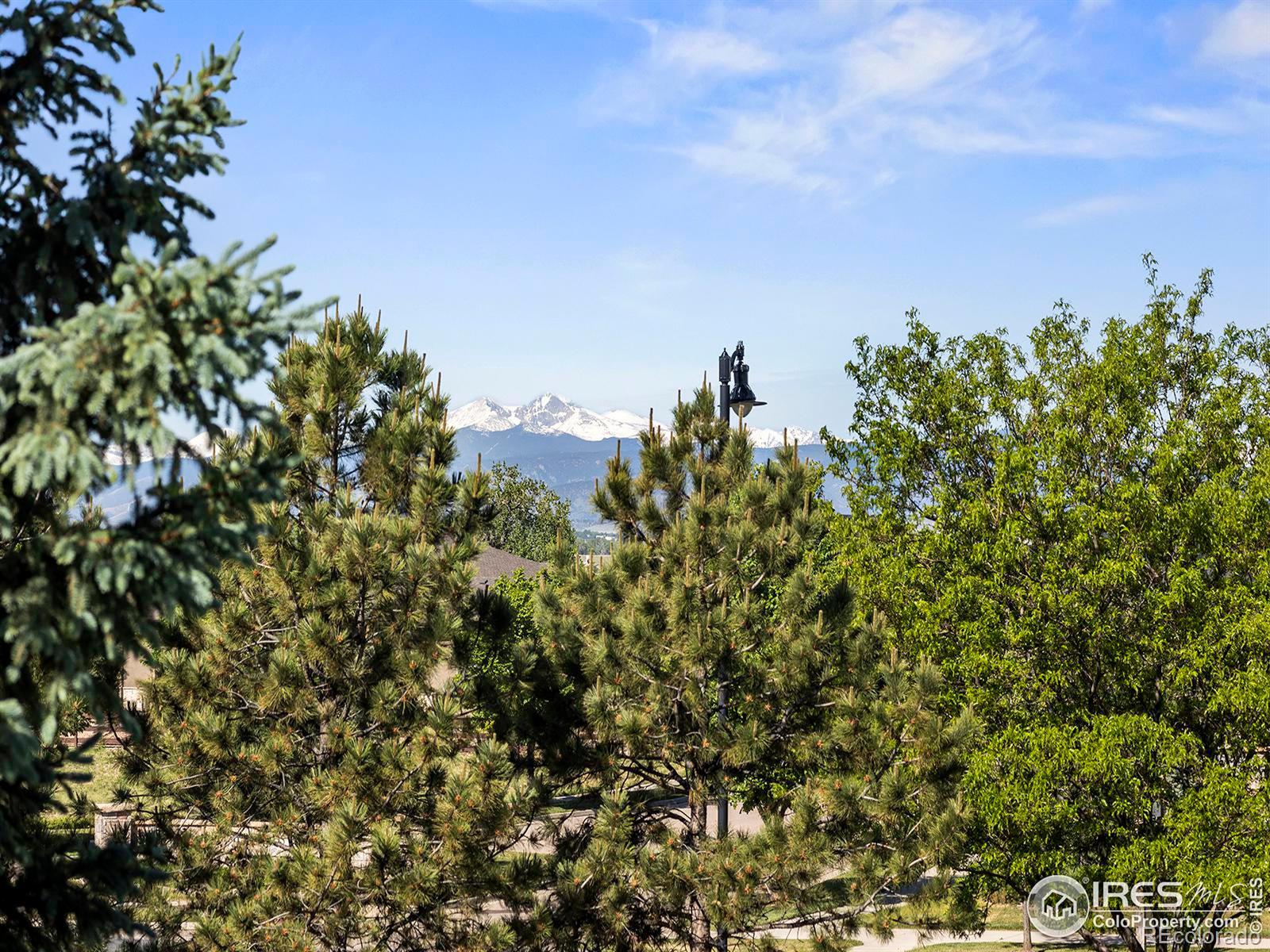 MLS Image #17 for 6117  gold dust road,timnath, Colorado