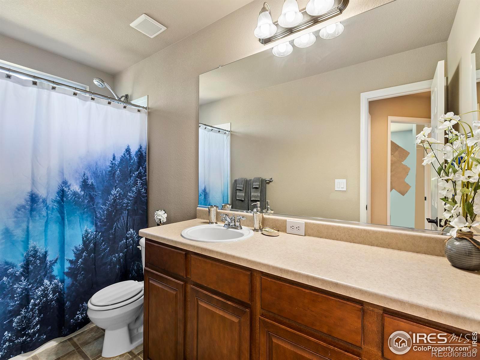 MLS Image #19 for 6117  gold dust road,timnath, Colorado