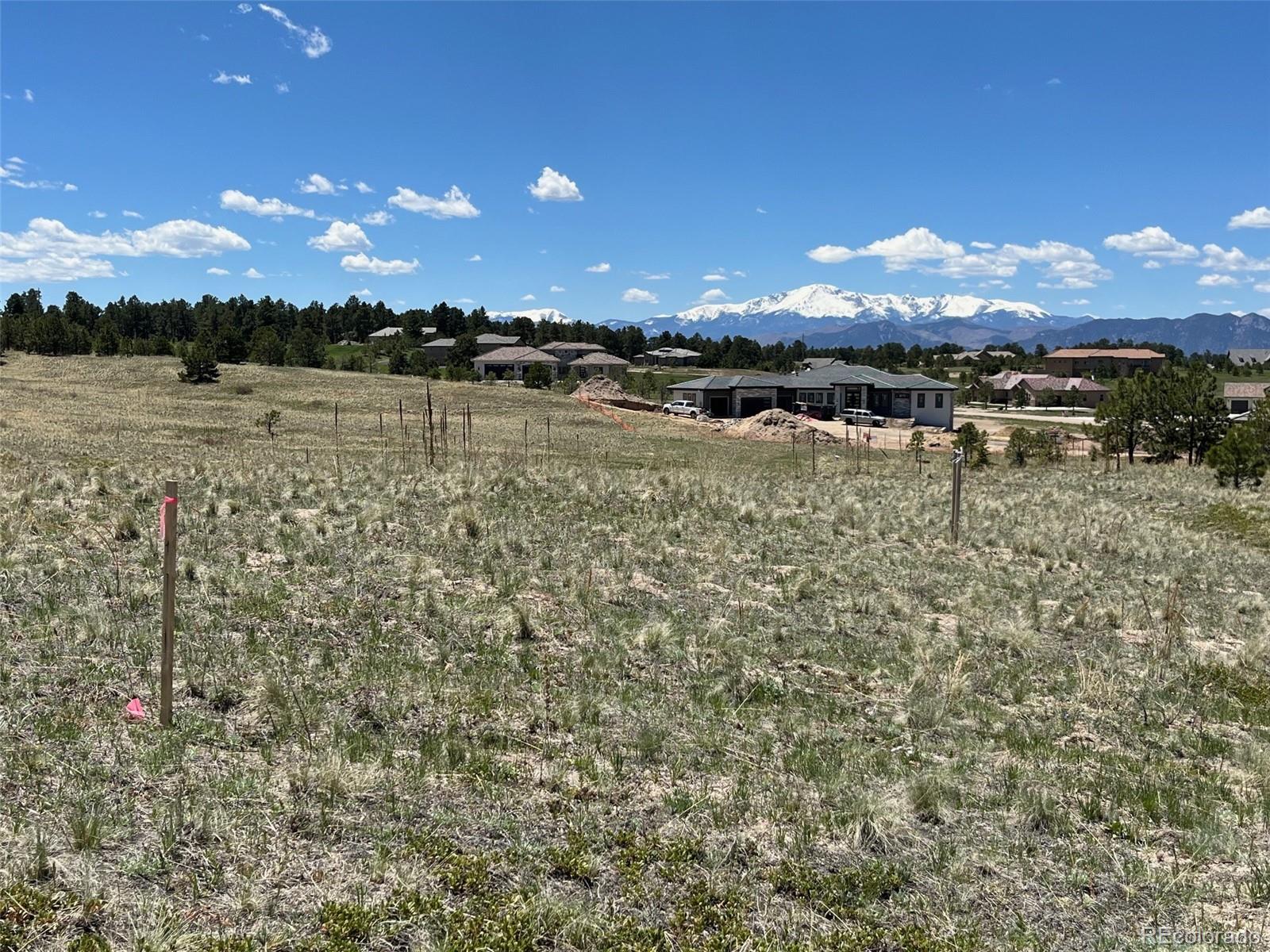 MLS Image #5 for 4643  settlers ranch road,colorado springs, Colorado