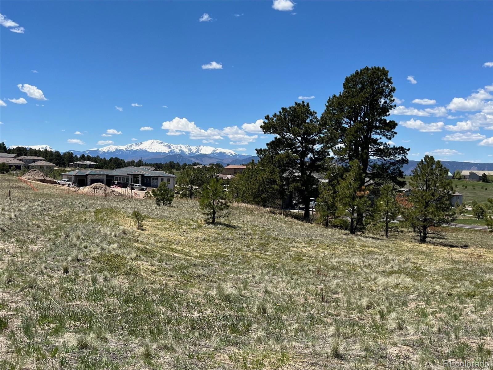 MLS Image #6 for 4643  settlers ranch road,colorado springs, Colorado