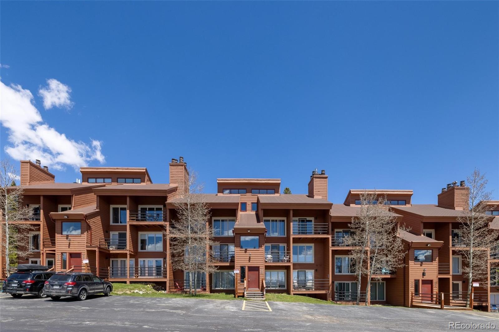 MLS Image #10 for 91200  ryan gulch road,silverthorne, Colorado