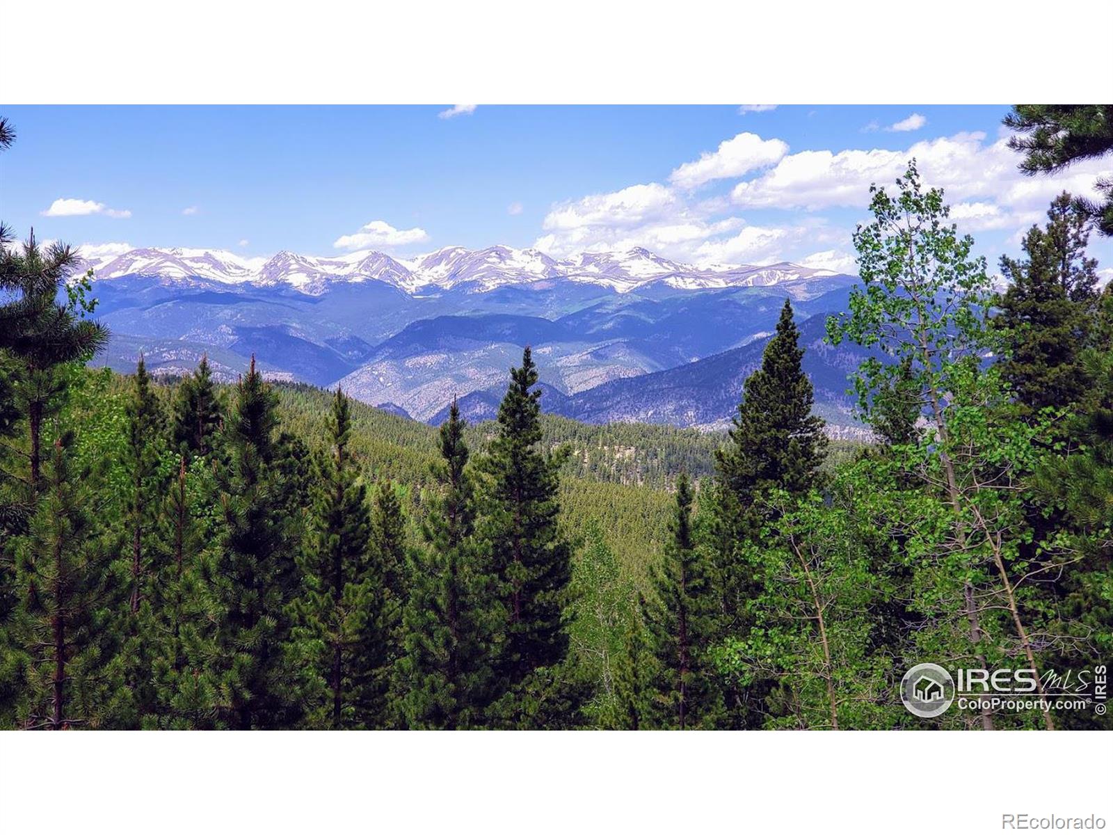 MLS Image #15 for 3540  hidden wilderness road,idaho springs, Colorado