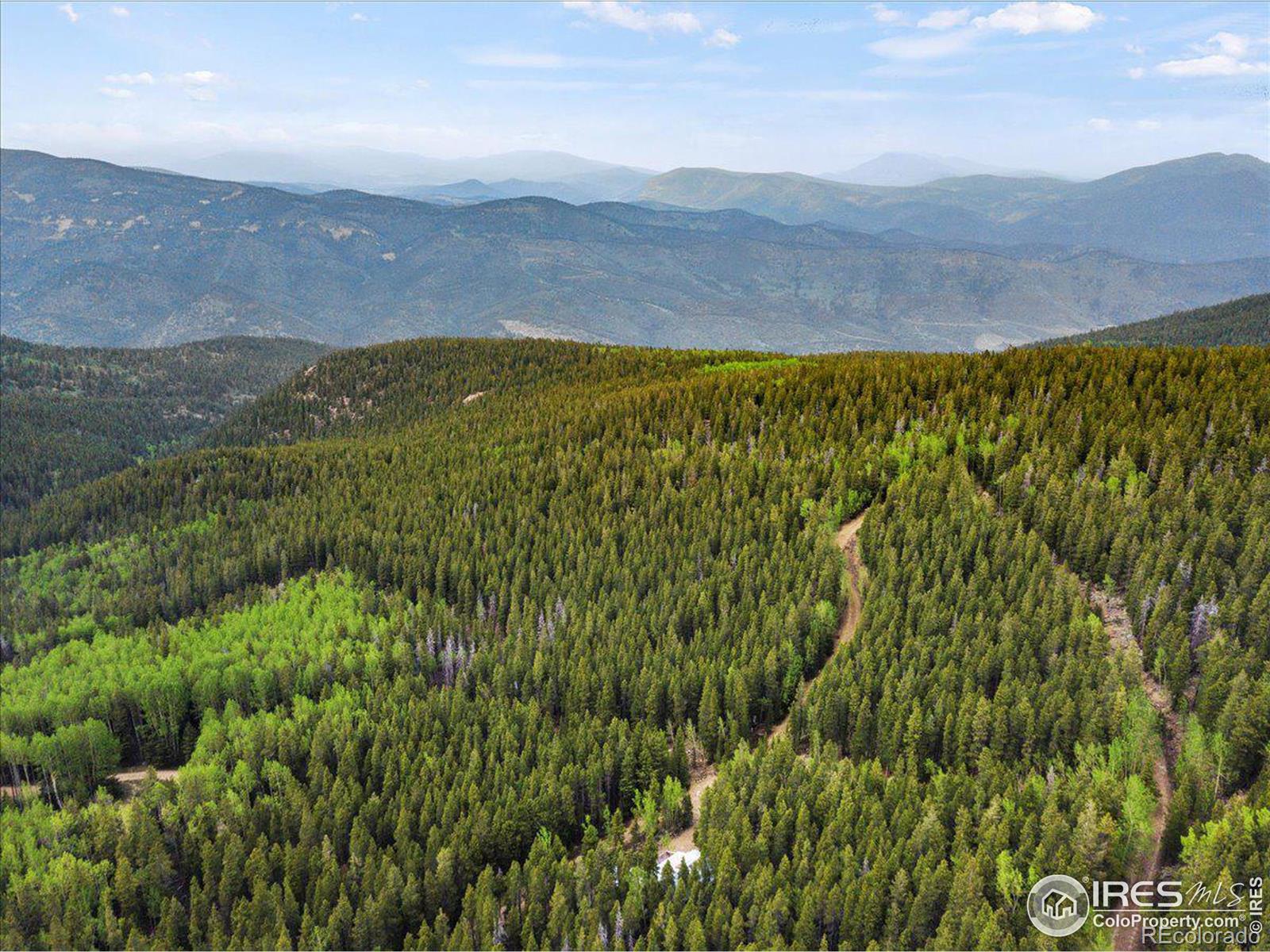 MLS Image #16 for 3540  hidden wilderness road,idaho springs, Colorado