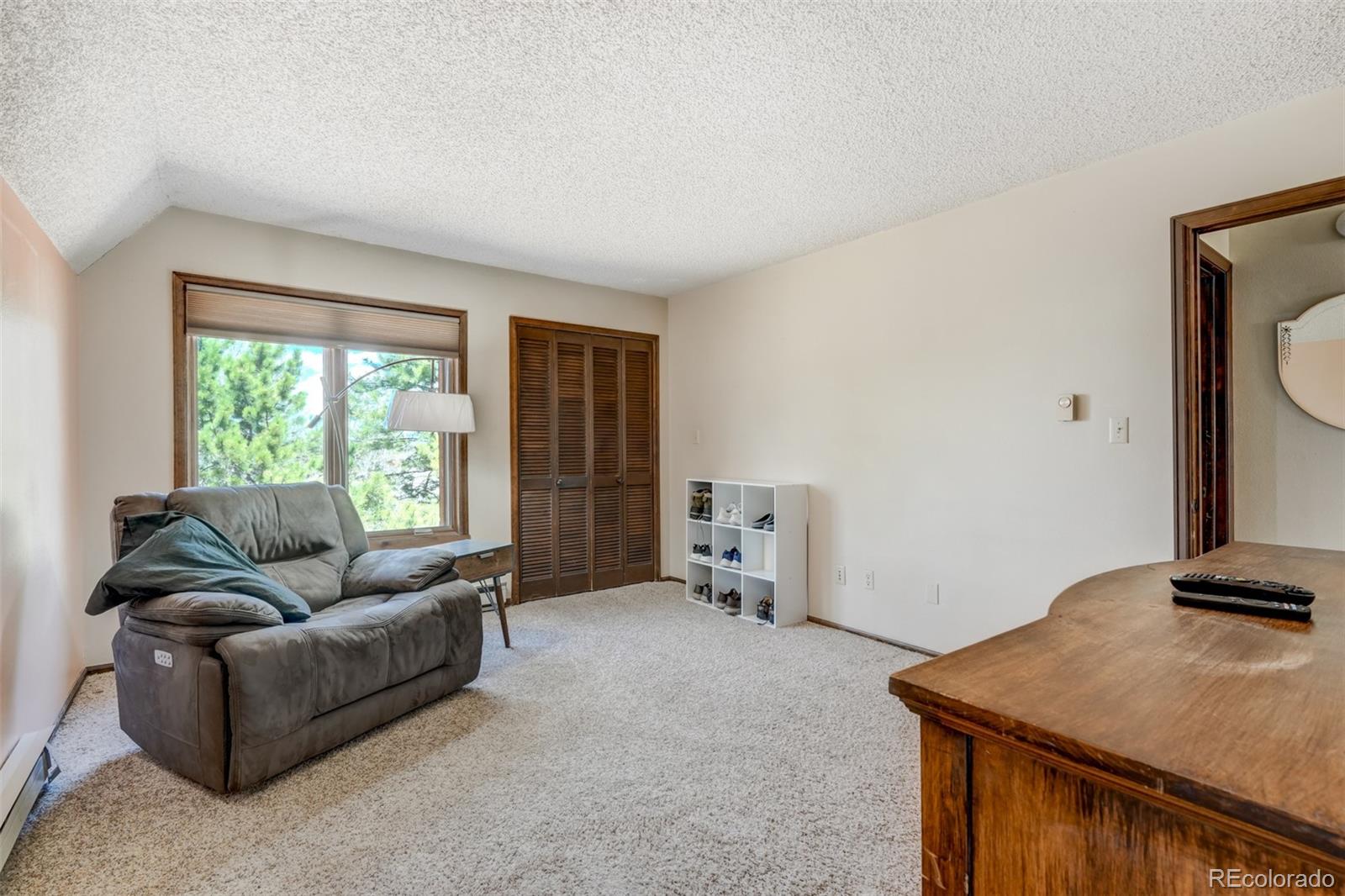MLS Image #19 for 185  brown place,woodland park, Colorado