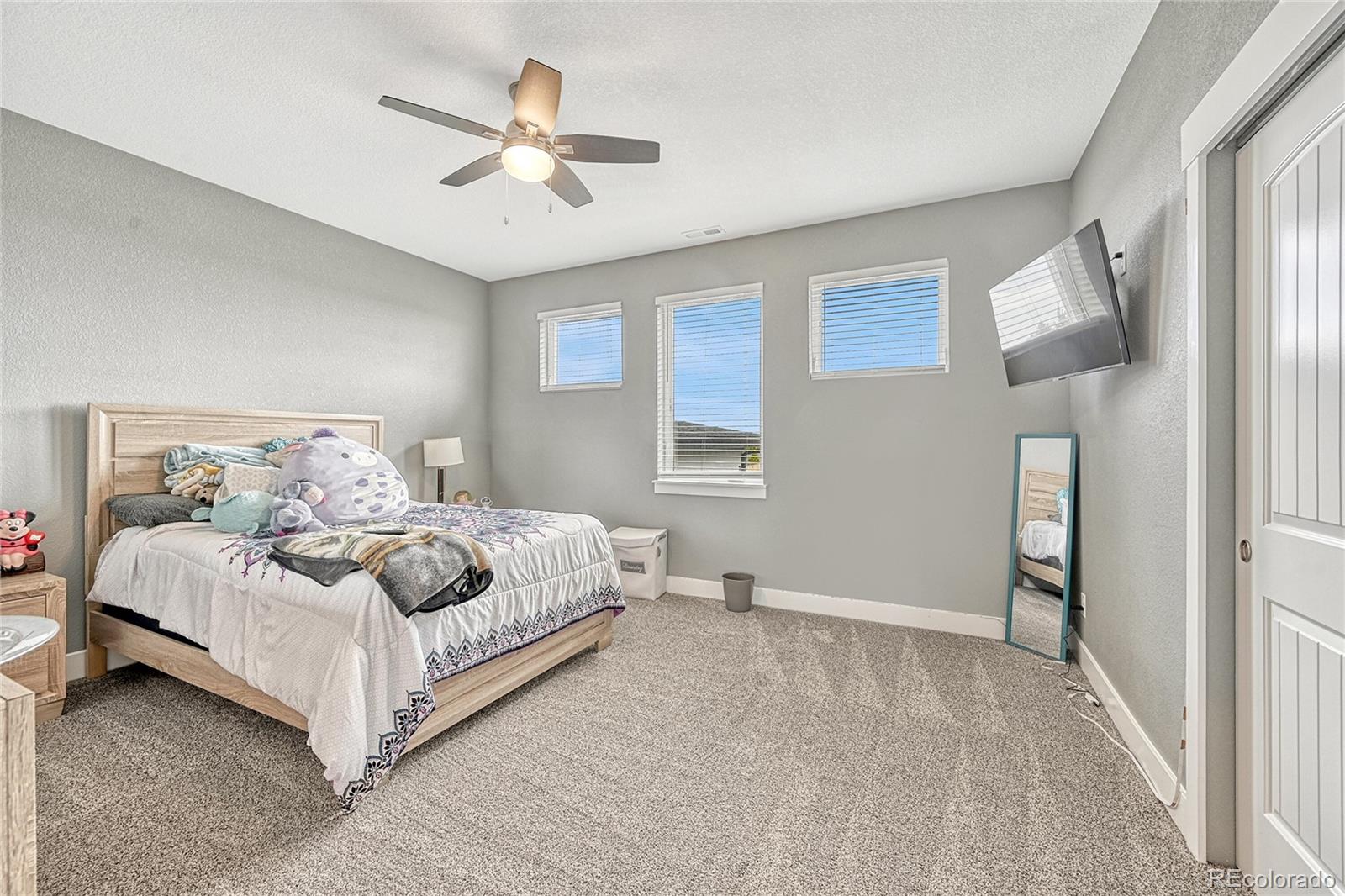 MLS Image #21 for 11088  asbee street,peyton, Colorado