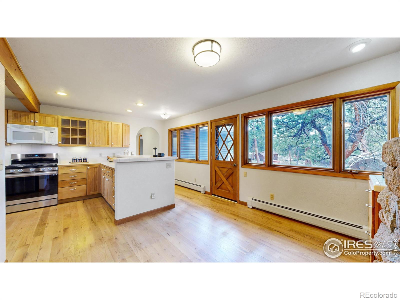 MLS Image #26 for 1701  windham drive,estes park, Colorado