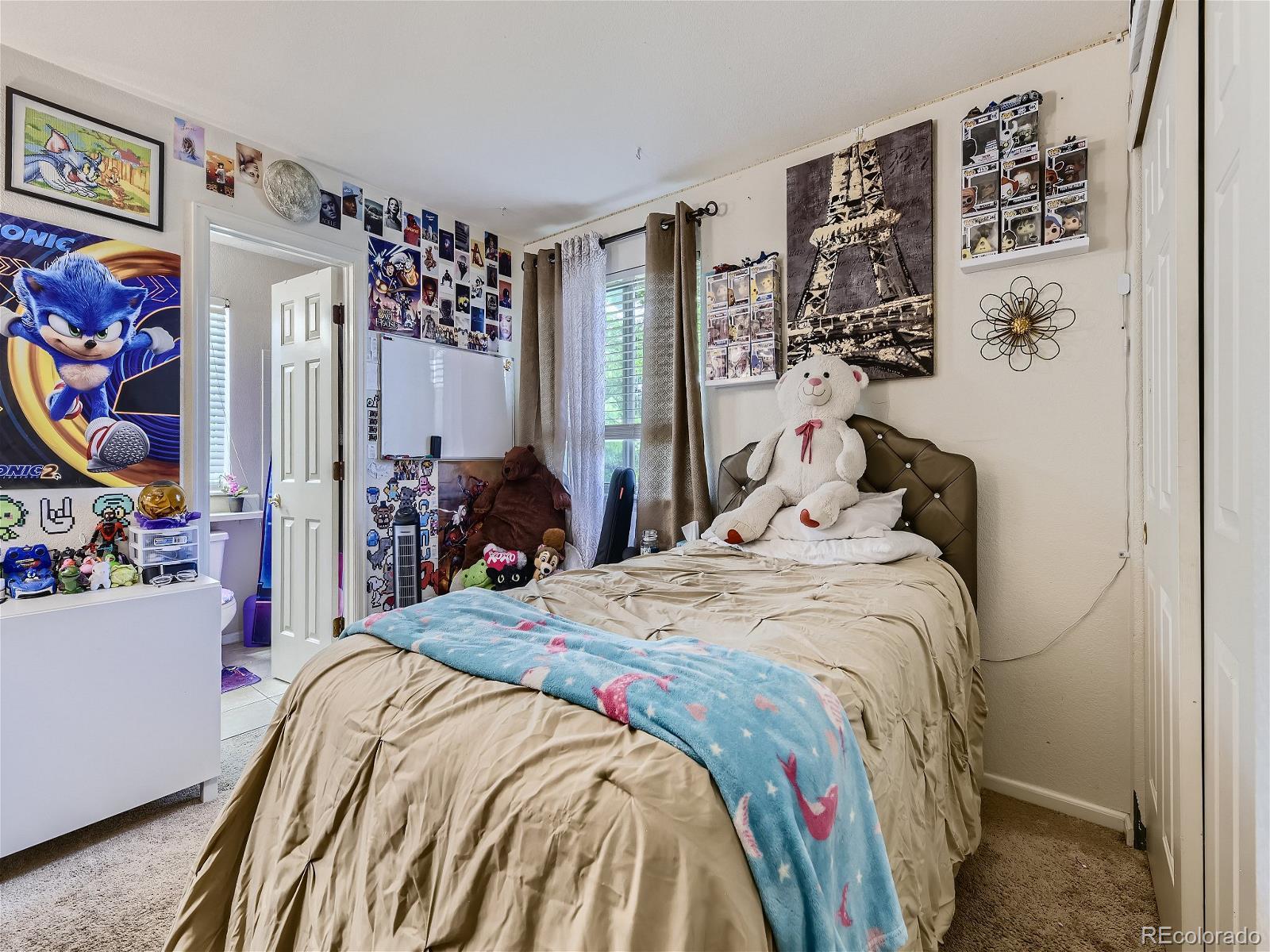 MLS Image #17 for 5319  morning glory place,highlands ranch, Colorado
