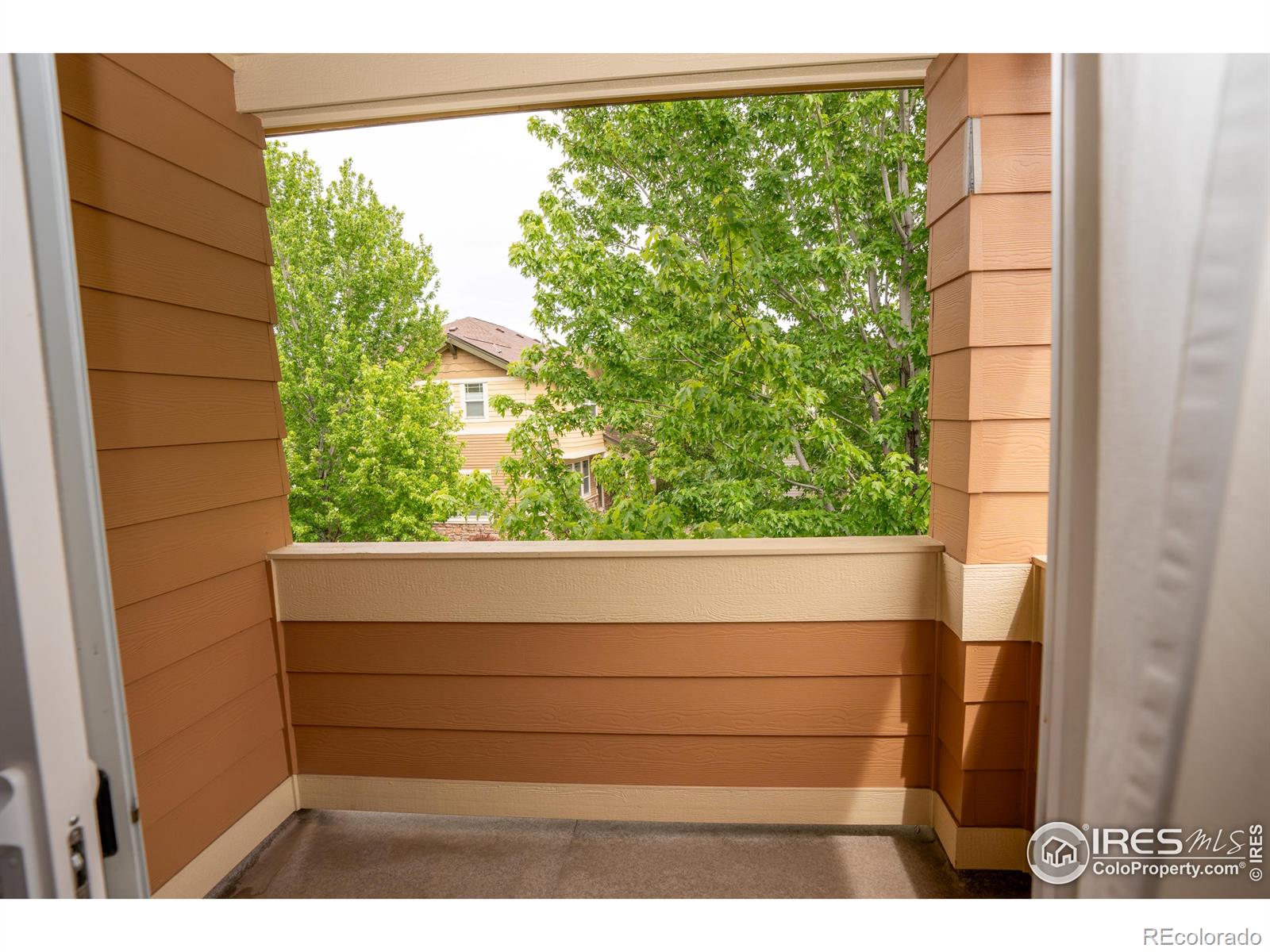MLS Image #16 for 5120  southern cross lane,fort collins, Colorado