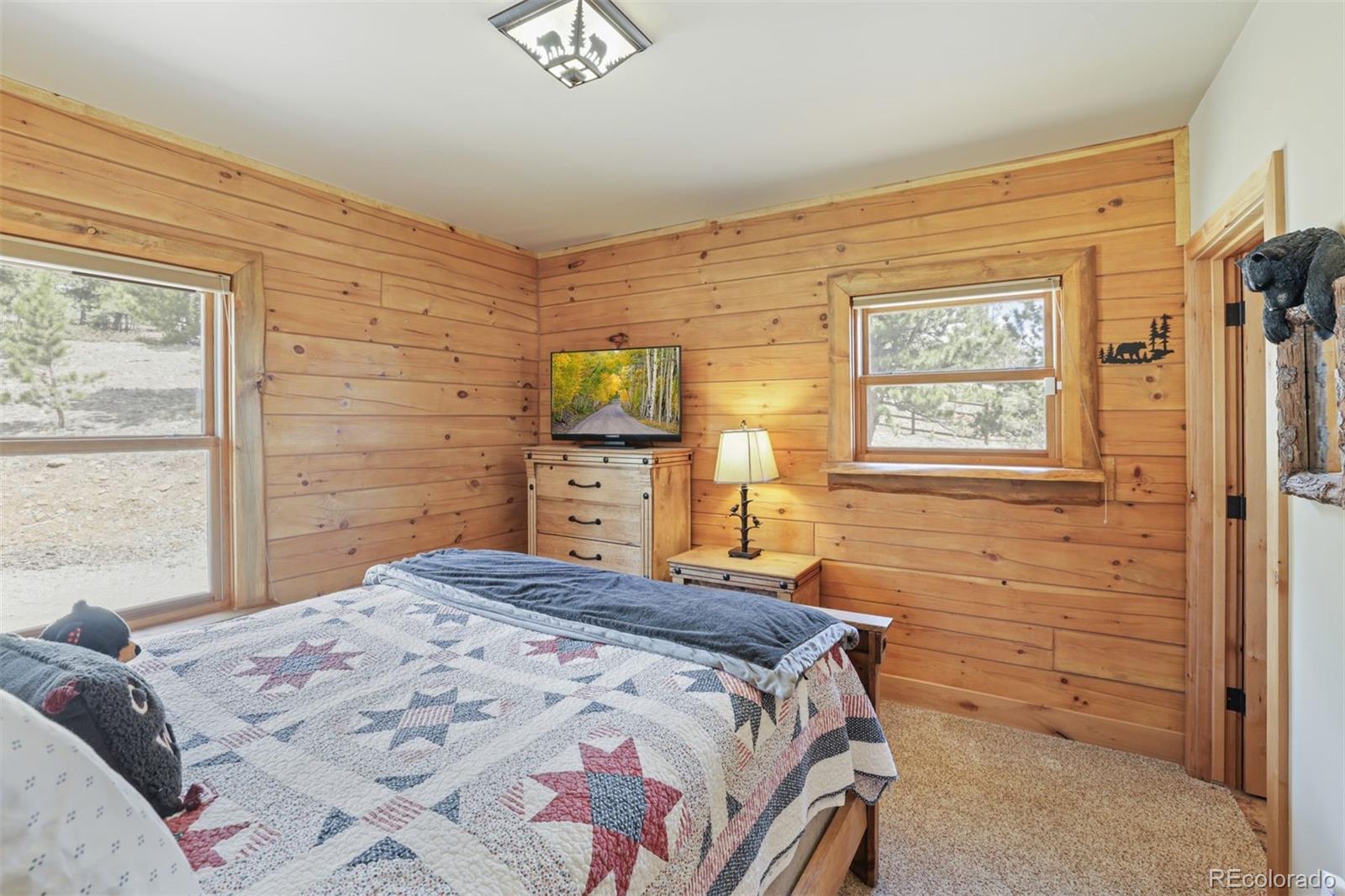 MLS Image #15 for 3418  high creek road,fairplay, Colorado