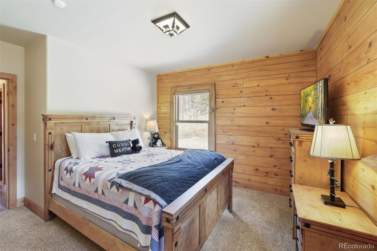 MLS Image #16 for 3418  high creek road,fairplay, Colorado