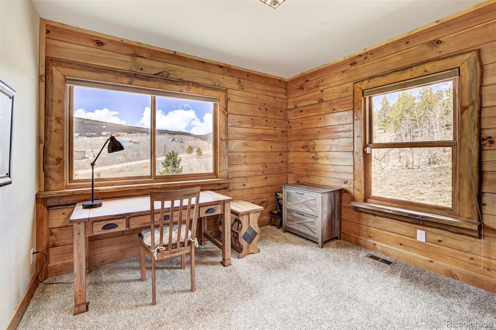 MLS Image #18 for 3418  high creek road,fairplay, Colorado