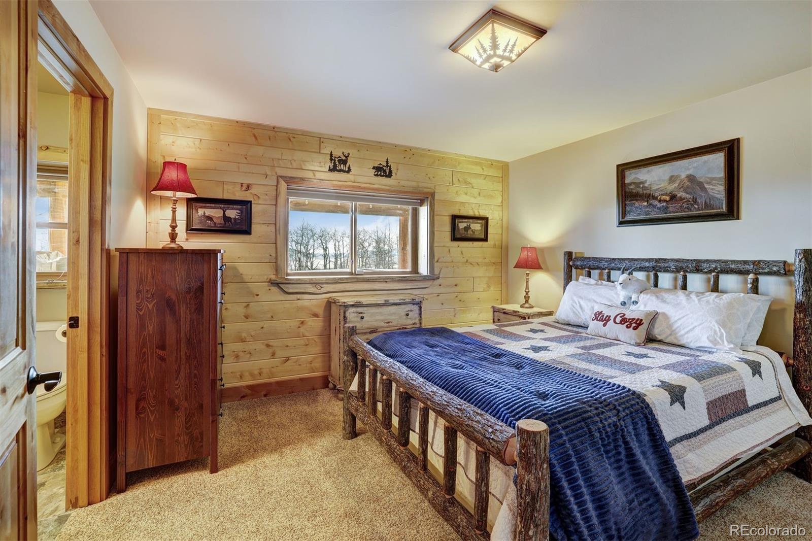 MLS Image #27 for 3418  high creek road,fairplay, Colorado