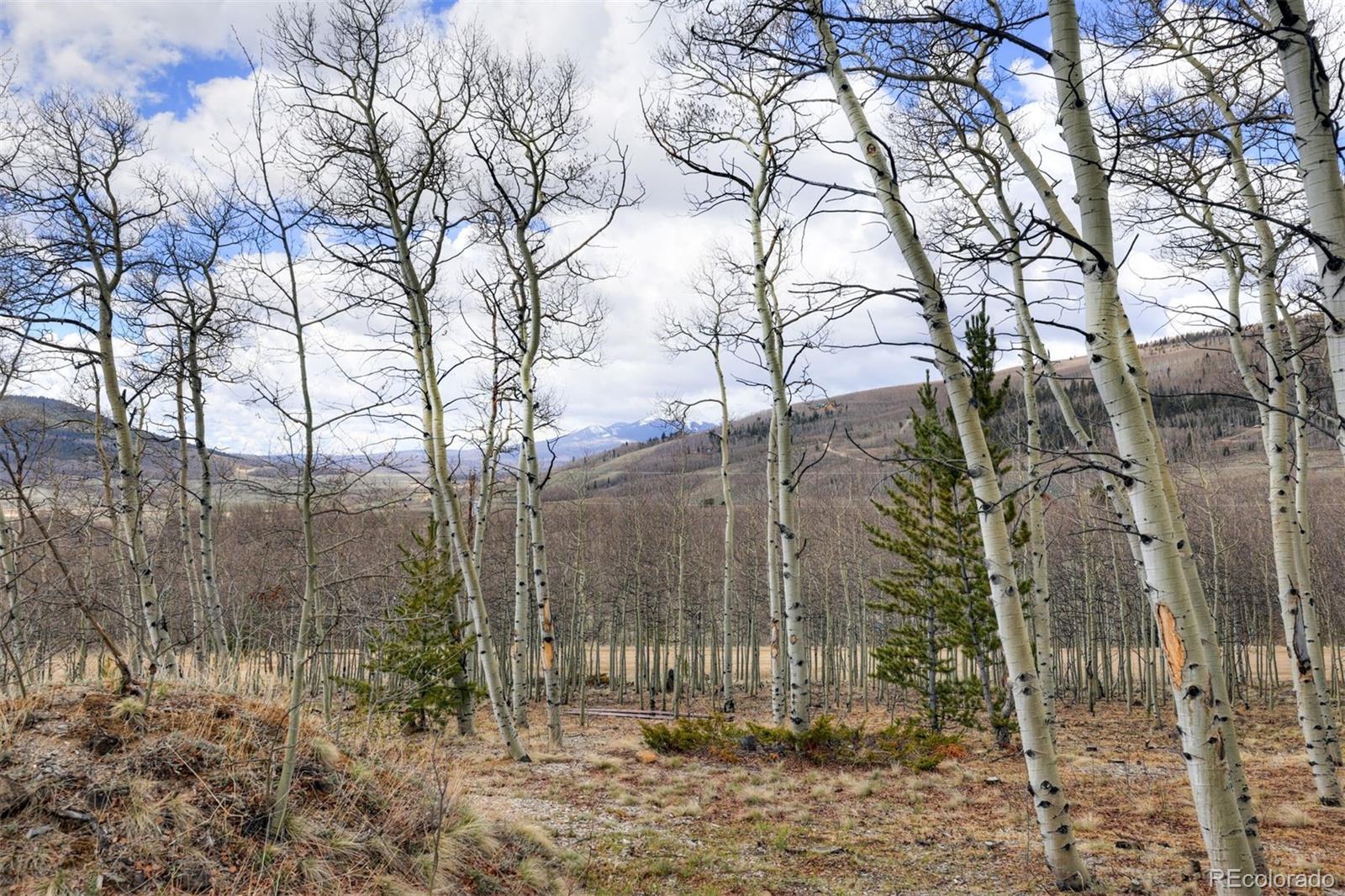 MLS Image #37 for 3418  high creek road,fairplay, Colorado