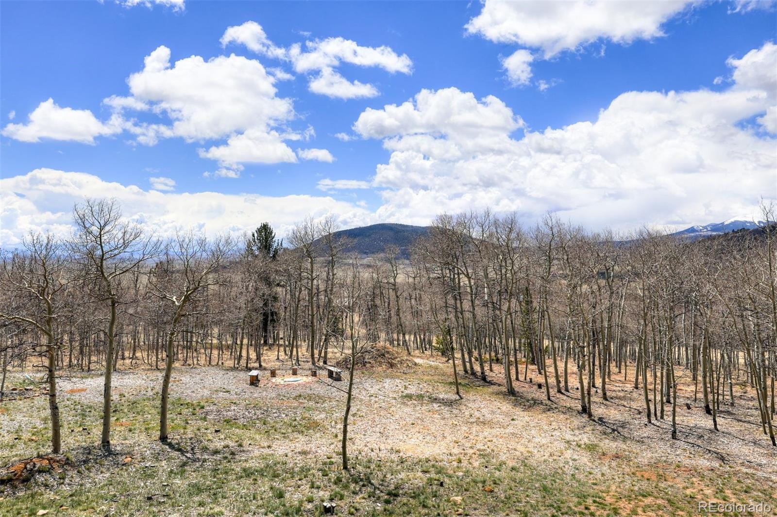 MLS Image #41 for 3418  high creek road,fairplay, Colorado