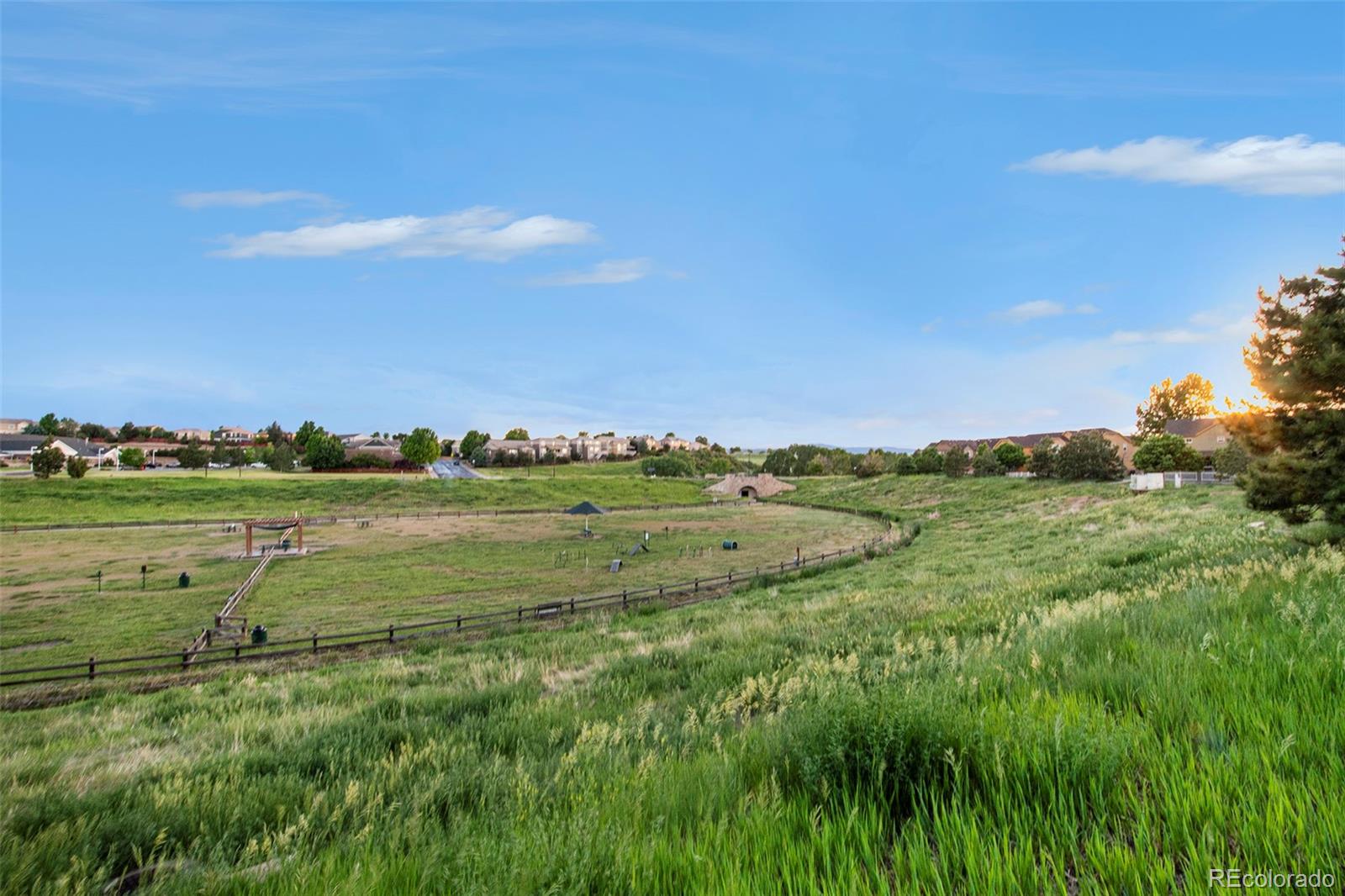 MLS Image #26 for 3822  tranquility trail ,castle rock, Colorado