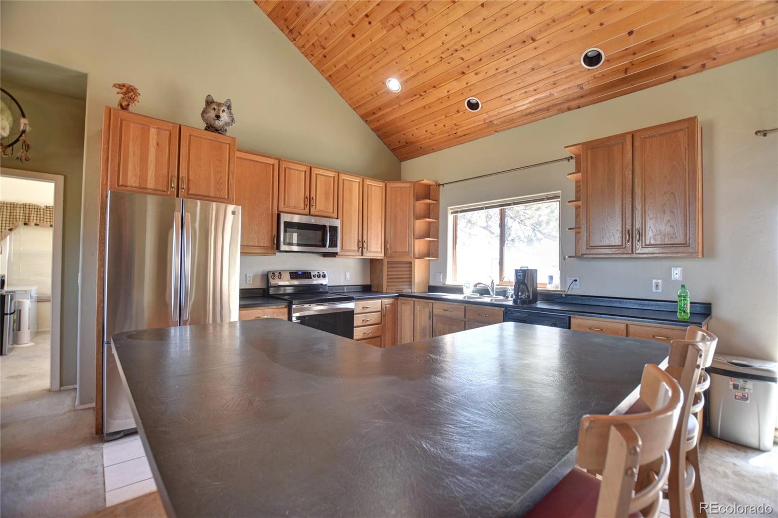 MLS Image #1 for 744  santana trail,hartsel, Colorado