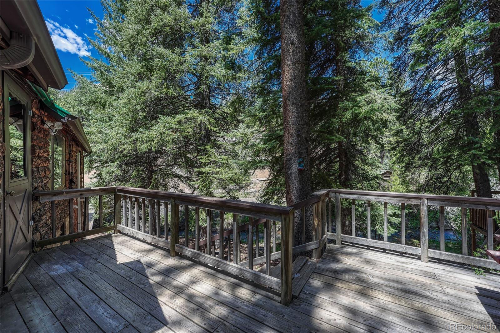 MLS Image #8 for 15740 s elk creek road,pine, Colorado