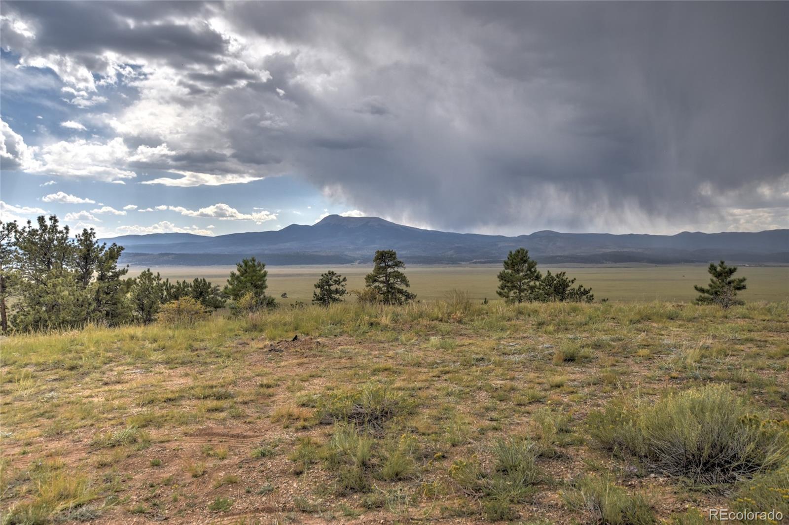 MLS Image #15 for 184  deadman road,hartsel, Colorado