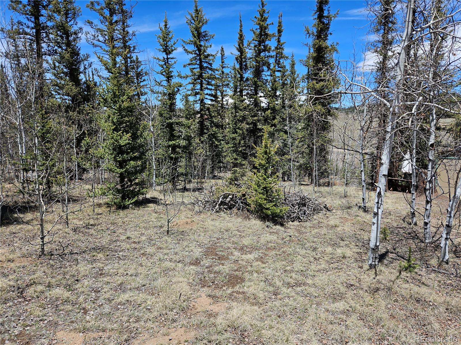 MLS Image #18 for 309  pepperbox path,jefferson, Colorado