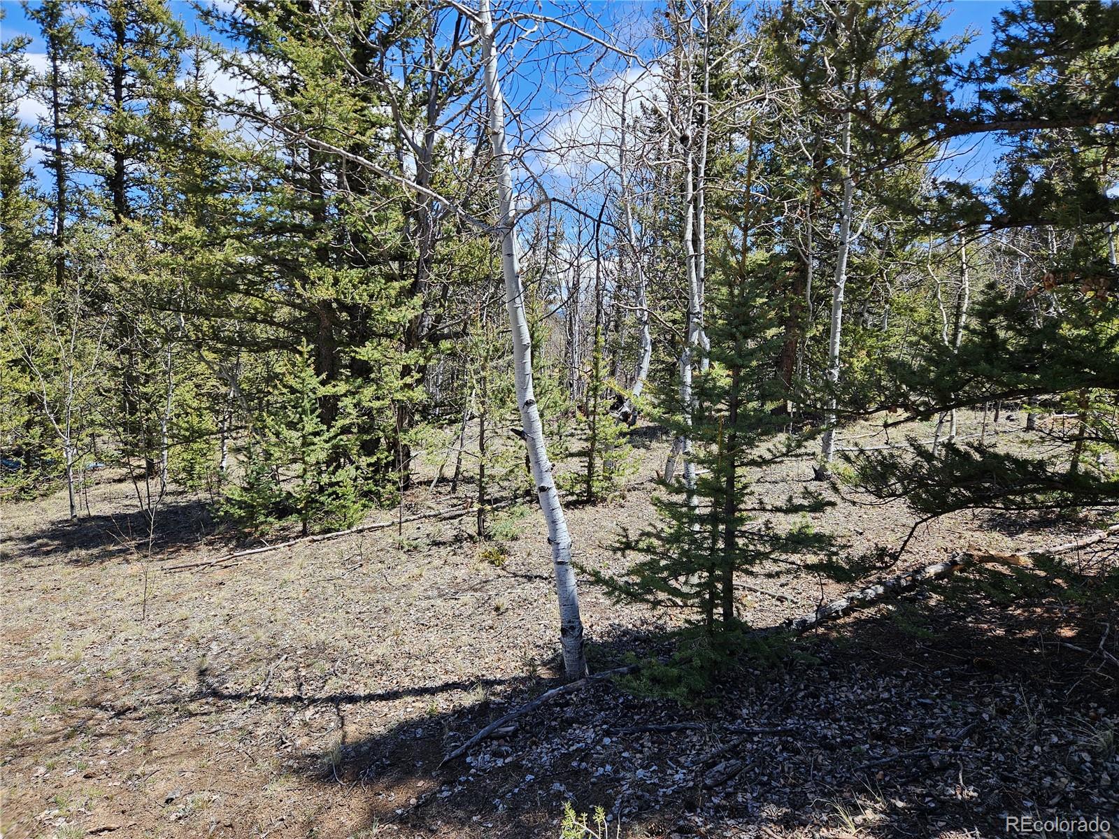 MLS Image #19 for 309  pepperbox path,jefferson, Colorado