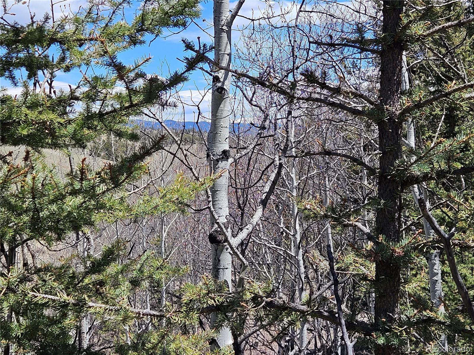 MLS Image #35 for 309  pepperbox path,jefferson, Colorado