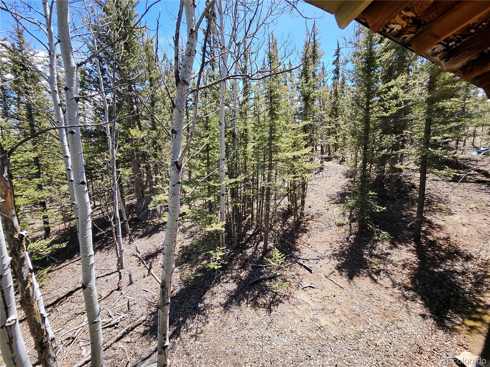 MLS Image #37 for 309  pepperbox path,jefferson, Colorado