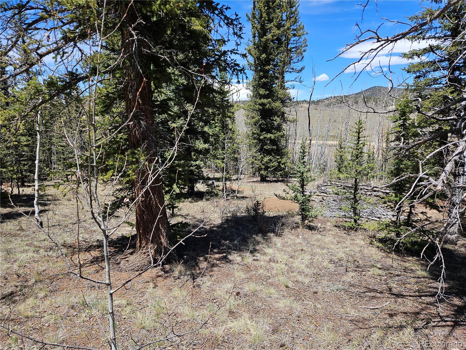 MLS Image #42 for 309  pepperbox path,jefferson, Colorado