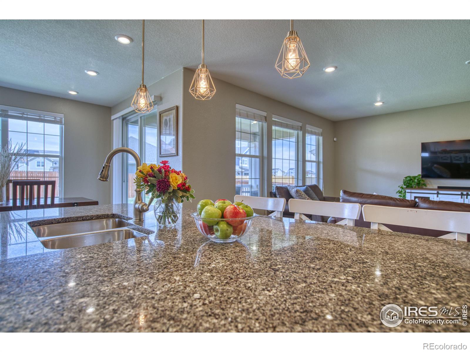 MLS Image #10 for 2763 e 161st place,thornton, Colorado