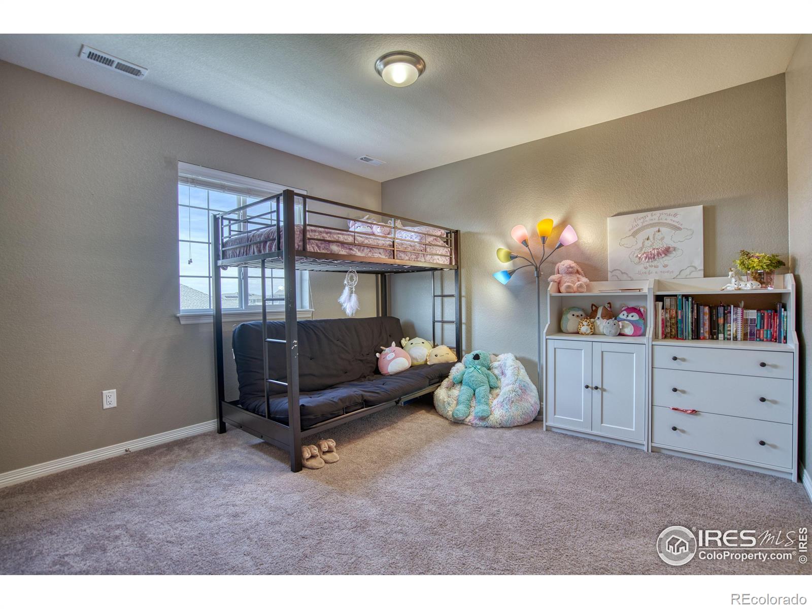 MLS Image #18 for 2763 e 161st place,thornton, Colorado