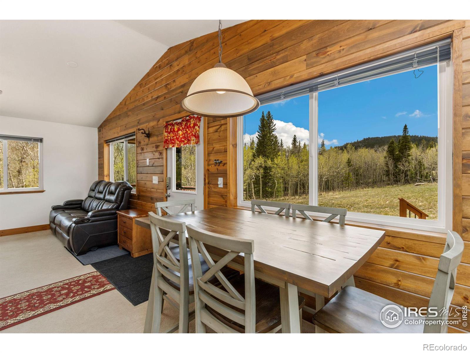 MLS Image #10 for 22  tewa court,red feather lakes, Colorado