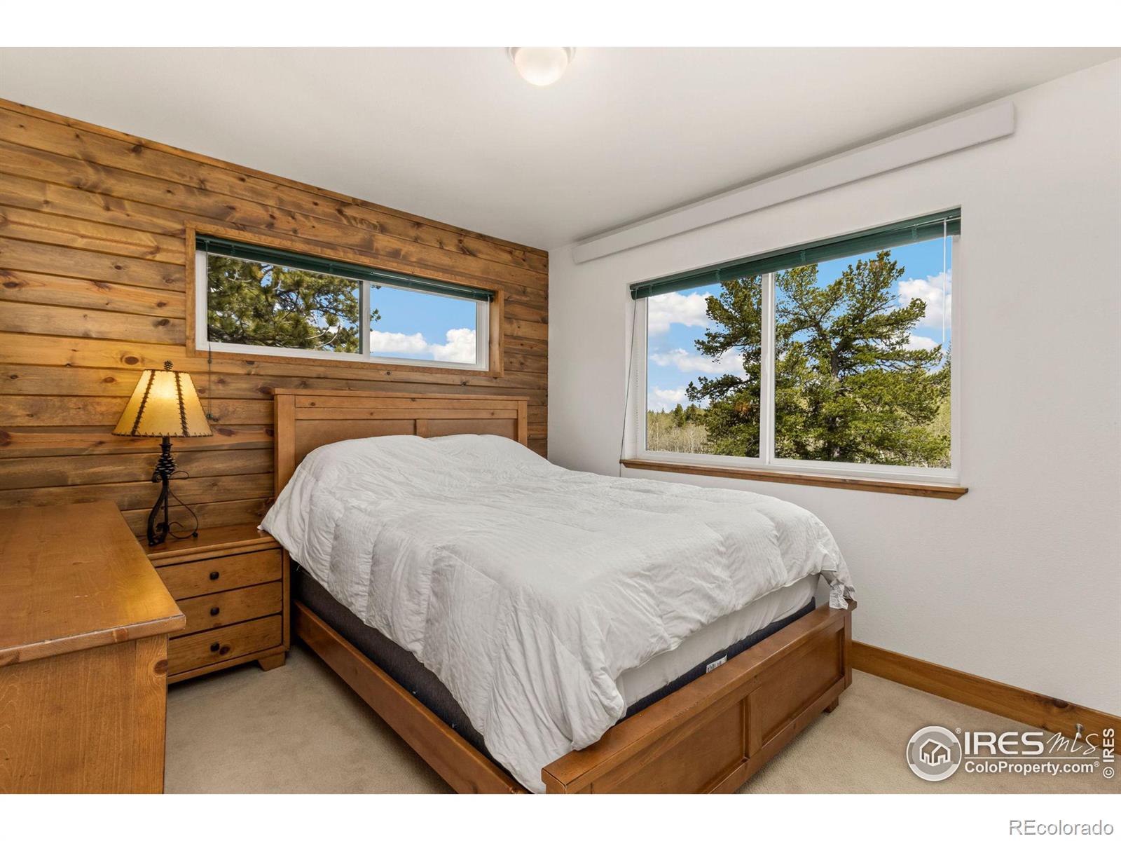 MLS Image #12 for 22  tewa court,red feather lakes, Colorado