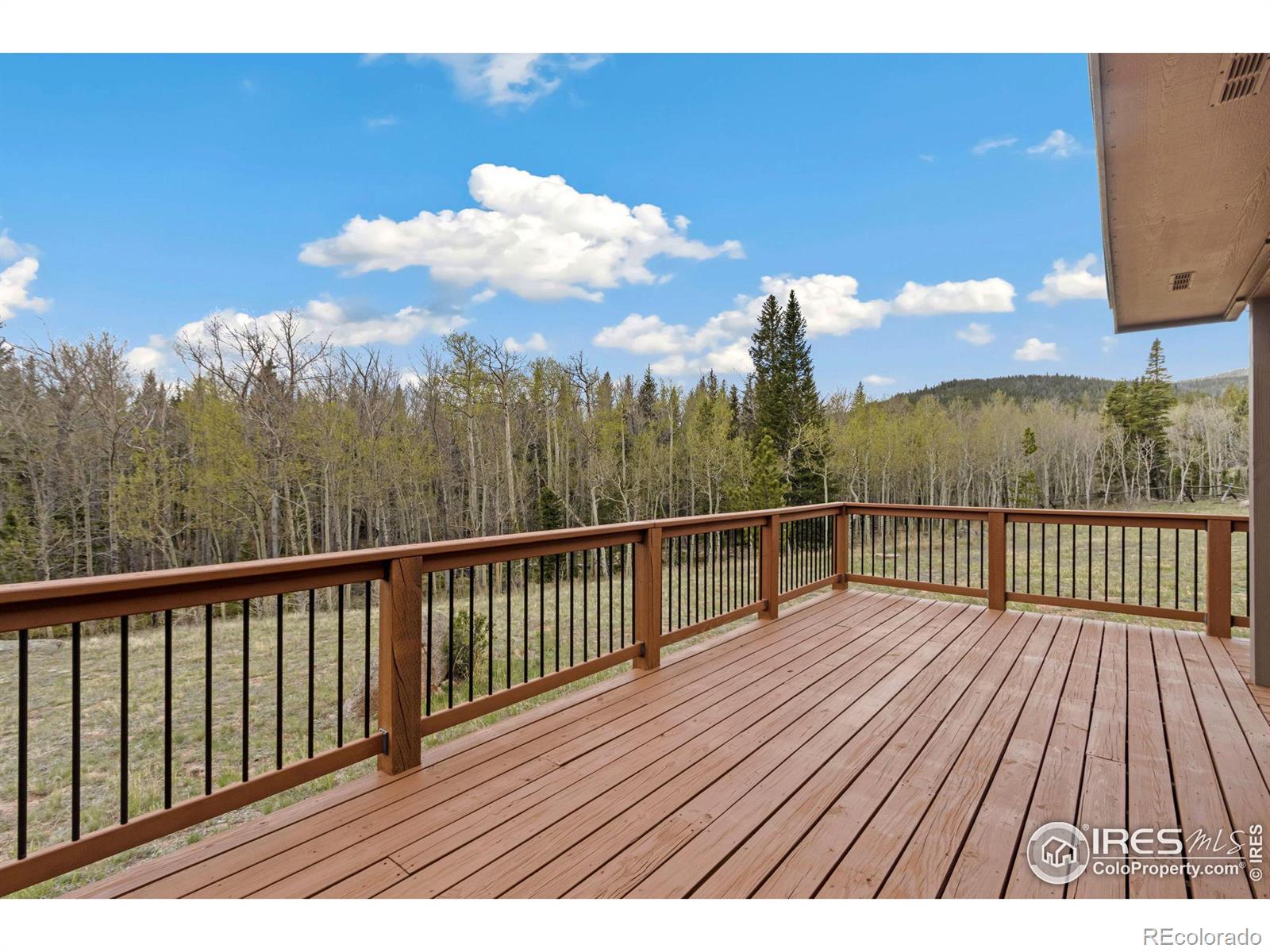 MLS Image #19 for 22  tewa court,red feather lakes, Colorado