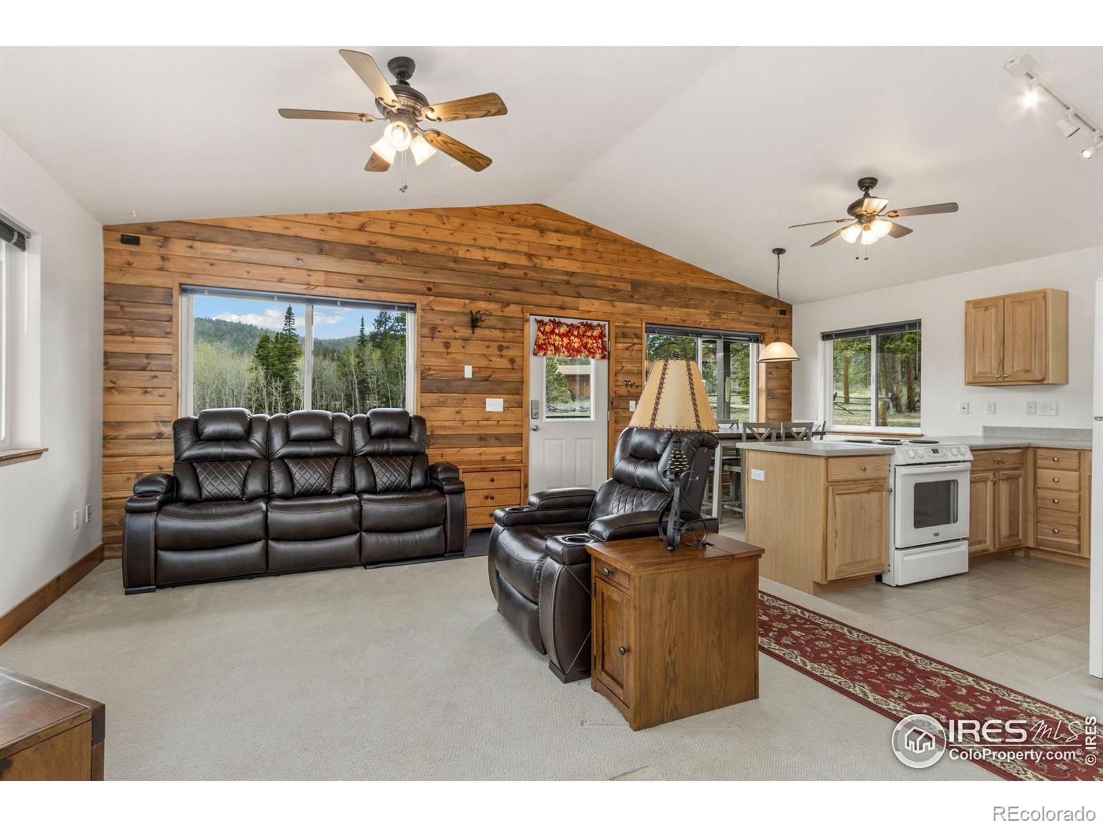 MLS Image #6 for 22  tewa court,red feather lakes, Colorado