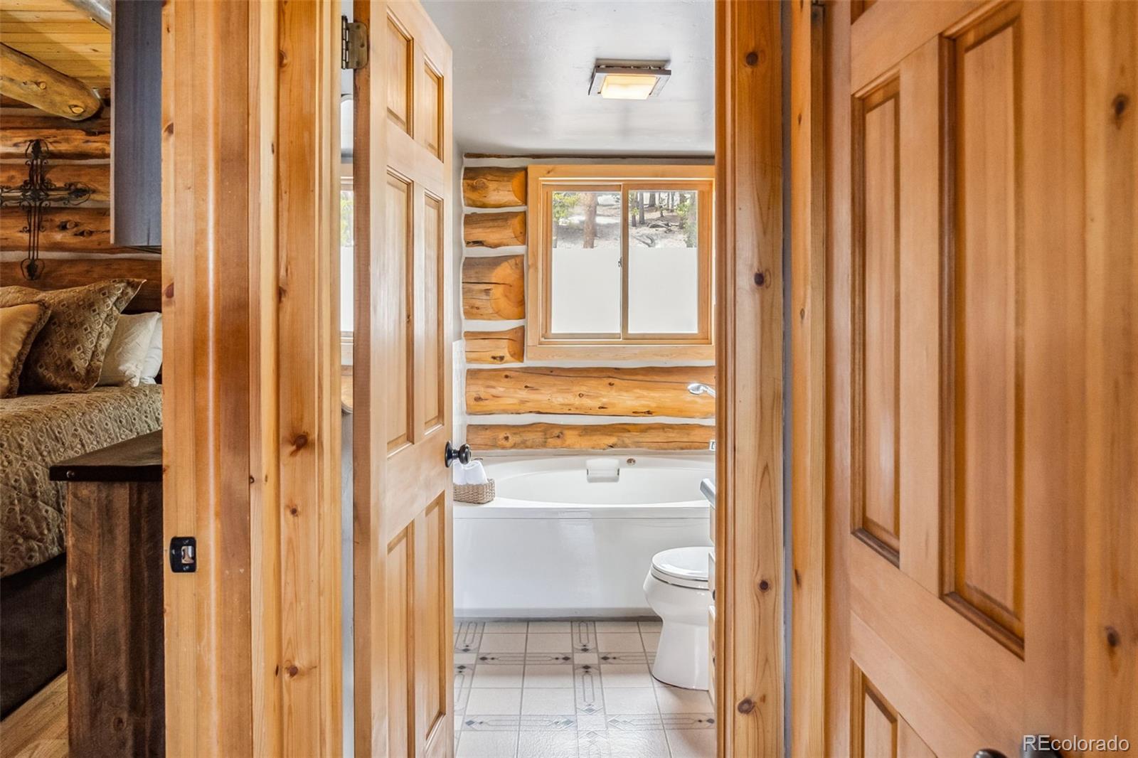 MLS Image #13 for 795  zebulon street,alma, Colorado