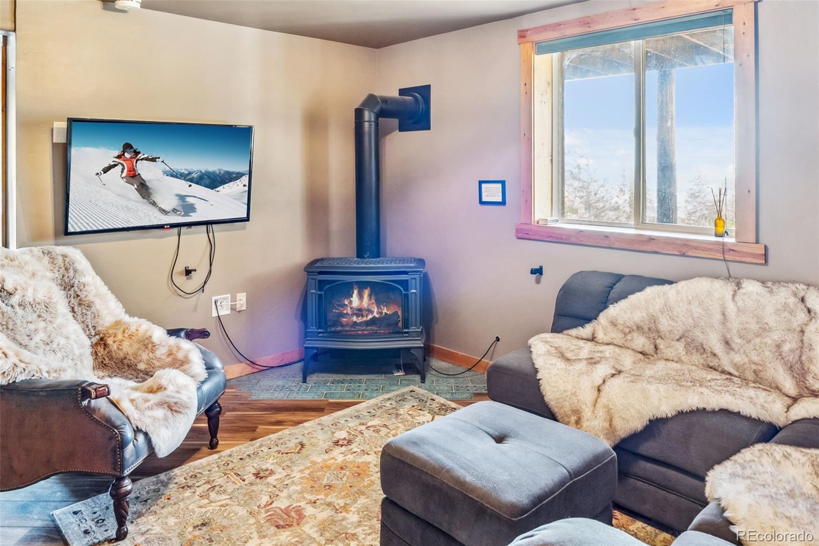 MLS Image #25 for 795  zebulon street,alma, Colorado