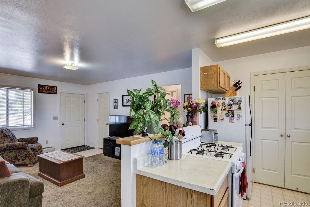 MLS Image #12 for 329  crossman avenue,buena vista, Colorado